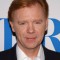 David Caruso Picture