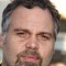 Vincent D'Onofrio Picture