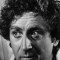 Gene Wilder Picture
