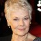 Judi Dench Picture