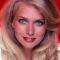 Donna Dixon Picture