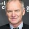 Sting Picture