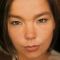 Björk Picture