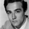 Vittorio Gassman Picture