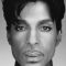 Prince Picture