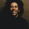 Bob Marley Picture