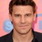 David Boreanaz Picture