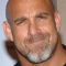 Bill Goldberg Picture