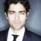 Adrian Grenier Picture