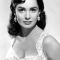 Susan Cabot Picture