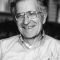 Noam Chomsky Picture