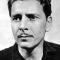 Ronald Colman Picture