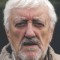 Bernard Cribbins Picture