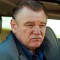 Brendan Gleeson Picture