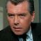 Robert Hutton Picture