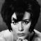 Sue Lloyd Picture