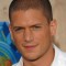 Wentworth Miller Picture