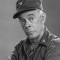 Harry Morgan Picture