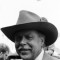 Albert Salmi Picture