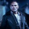 John Saxon Picture