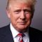 Donald Trump Picture