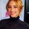 Karine Vanasse Picture