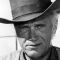 Robert J. Wilke Picture