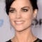 Jaimie Alexander Picture
