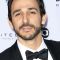 Amir Arison Picture