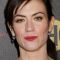 Maggie Siff Picture