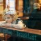 Julia Garner Picture