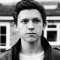 Tom Holland Picture