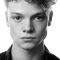 Tom Rhys Harries Picture