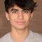 Neel Sethi Picture