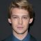 Joe Alwyn Picture