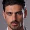 Michele Morrone Picture