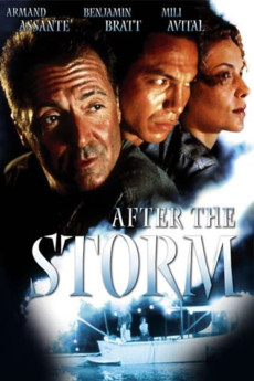 After the Storm (2001) download