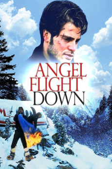 Angel Flight Down (1996) download