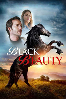Black Beauty (2015) download