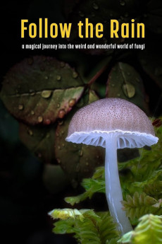 Follow the Rain (2024) download