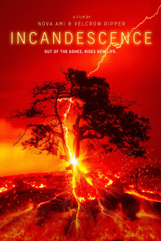Incandescence (2024) download