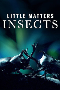 Little Matters: Insects (2014) download