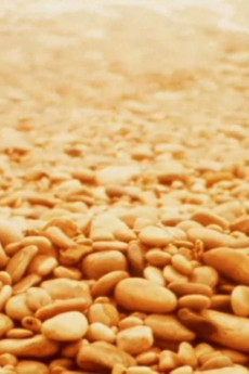 Notes for Jerome (1978) download