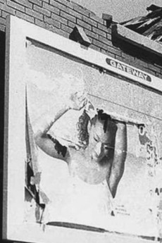 Still/Here (2001) download