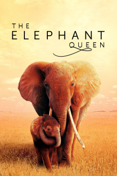 The Elephant Queen (2018) download