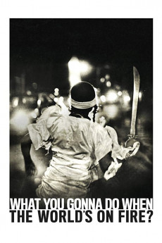 What You Gonna Do When the World's on Fire? (2018) download