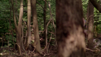 12 and Holding (2005) download