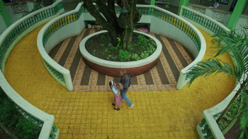 18th Rose (2026) download