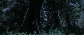 24 Hours to D-Day (2024) download