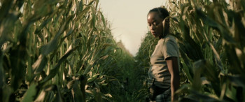 40 Acres (2024) download